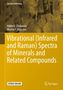 Nikita V. Chukanov: Vibrational (Infrared and Raman) Spectra of Minerals and Related Compounds, Buch,Buch