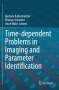 Time-dependent Problems in Imaging and Parameter Identification, Buch