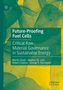 Martin David: Future-Proofing Fuel Cells, Buch