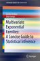Udo Kamps: Multivariate Exponential Families: A Concise Guide to Statistical Inference, Buch