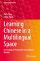 Linda Tsung: Learning Chinese in a Multilingual Space, Buch