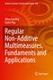 Endre Pap: Regular Non-Additive Multimeasures. Fundaments and Applications, Buch