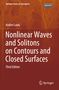 Andrei Ludu: Nonlinear Waves and Solitons on Contours and Closed Surfaces, Buch