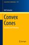 Rolf Schneider: Convex Cones, Buch