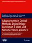 Advancements in Optical Methods, Digital Image Correlation & Micro-and Nanomechanics, Volume 4, Buch