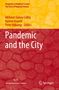 Pandemic and the City, Buch