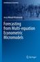 Jerzy Witold Wi¿niewski: Forecasting from Multi-equation Econometric Micromodels, Buch