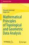 Jürgen Jost: Mathematical Principles of Topological and Geometric Data Analysis, Buch