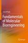 Luisa Di Paola: Fundamentals of Molecular Bioengineering, Buch