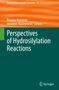 Perspectives of Hydrosilylation Reactions, Buch