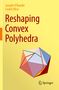 Costin Vîlcu: Reshaping Convex Polyhedra, Buch