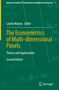 The Econometrics of Multi-dimensional Panels, Buch