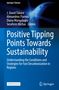 Positive Tipping Points Towards Sustainability, Buch