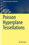 Daniel Hug: Poisson Hyperplane Tessellations, Buch