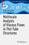 Konstantin Pileckas: Multiscale Analysis of Viscous Flows in Thin Tube Structures, Buch