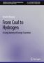 Qianlin Zhuang: From Coal to Hydrogen, Buch