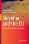 "Slovenia and the EU" in großer Schrift, darunter "20 Years of Membership in Perspective". Orange Hintergrund mit EU-Flaggenmotiv.