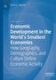"Economic Development in the World's Smallest Economies". Blauer Hintergrund mit Geometrie und einem Logo oben links., Buch