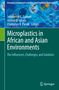 Microplastics in African and Asian Environments, Buch