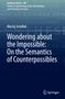 Maciej Send¿ak: Wondering about the Impossible: On the Semantics of Counterpossibles, Buch