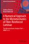 Resam Makvandi: A Numerical Approach to the Micromechanics of Fibre-Reinforced Laminae, Buch