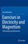 "Teruo Matsushita, Exercises in Electricity and Magnetism, 100 Examples and 400 Exercises." Blaues Cover, Springer-Logo unten., Buch
