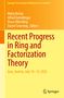 Recent Progress in Ring and Factorization Theory, Buch
