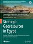 Strategic Georesources in Egypt, Buch, Buch
