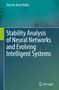 Jose de Jesus Rubio: Stability Analysis of Neural Networks and Evolving Intelligent Systems, Buch