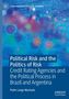 "Political Risk and the Politics of Risk" auf blauem Hintergrund mit bunten, verschwommenen Kreisen., Buch