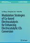 Lei Wang: Modulation Strategies of Cu-based Electrocatalysts for Enhancing Electrocatalytic CO2 Conversion, Buch
