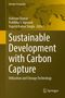 Sustainable Development with Carbon Capture, Buch