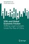 Theófilo Miguel Aquino: SOEs and Global Economic Friction, Buch