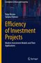 „Efficiency of Investment Projects“ in großer gelber Schrift, darunter eine nächtliche Stadtsilhouette., Buch
