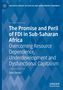 "The Promise and Peril of FDI in Sub-Saharan Africa" von Sean Gossel; blaues geometrisches Hintergrundmuster., Buch