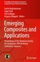 Cover: "Emerging Composites and Applications". Roter Hintergrund, Springer-Logo unten rechts., Buch