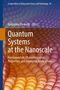Quantum Systems at the Nanoscale, Buch