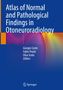 „Atlas of Normal and Pathological Findings in Otoneuroradiology“, Giorgio Conte, Fabio Triulzi, Elisa Scola, farbige Illustration.