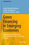 Cover mit Text: "Green Financing in Emerging Economies." Ein Logo von Springer unten rechts. Hintergrund in Blau und Gelb., Buch