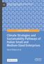 Titel: "Climate Strategies and Sustainability Pathways of Italian Small and Medium-Sized Enterprises." Blauer Hintergrund., Buch