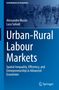 Buchtitel: "Urban-Rural Labour Markets". Autoren: Alessandro Muolo, Luca Salvati. Hintergrund: Stadtansicht., Buch