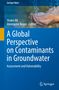 Text: "A Global Perspective on Contaminants in Groundwater: Assessment and Vulnerability." Zwei Hände halten Wasser., Buch