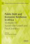 "Public Debt and Economic Resilience in Africa" Titel auf grünem Hintergrund. Geometrisches Muster leicht sichtbar., Buch