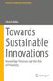 "Towards Sustainable Innovations" von Ulrich Wilke, Serie "Economic Complexity and Evolution", Springer-Logo., Buch