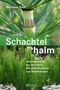 Marianne Ruoff: Schachtelhalm, Buch