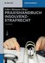 Praxishandbuch Insolvenzstrafrecht, Buch