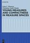Christiane Godet-Thobie: Young Measures and Compactness in Measure Spaces, Buch