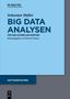 Sebastian Müller: Big Data Analysen, Buch