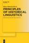 Hans Henrich Hock: Principles of Historical Linguistics, Buch