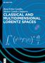 René Erlin Castillo: Classical and Multidimensional Lorentz Spaces, Buch